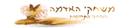 איתן שקד משחקי אדמה ומרחבי תחושות